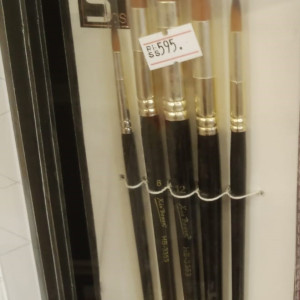 Xin Bowen Artist Brush set of 5