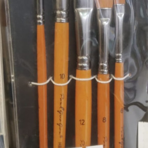 Water Color Brush set of 5