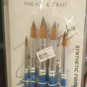 Synthetic Fiber Brush Set of 5