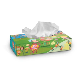 FAY FUN TIME (MULTI)